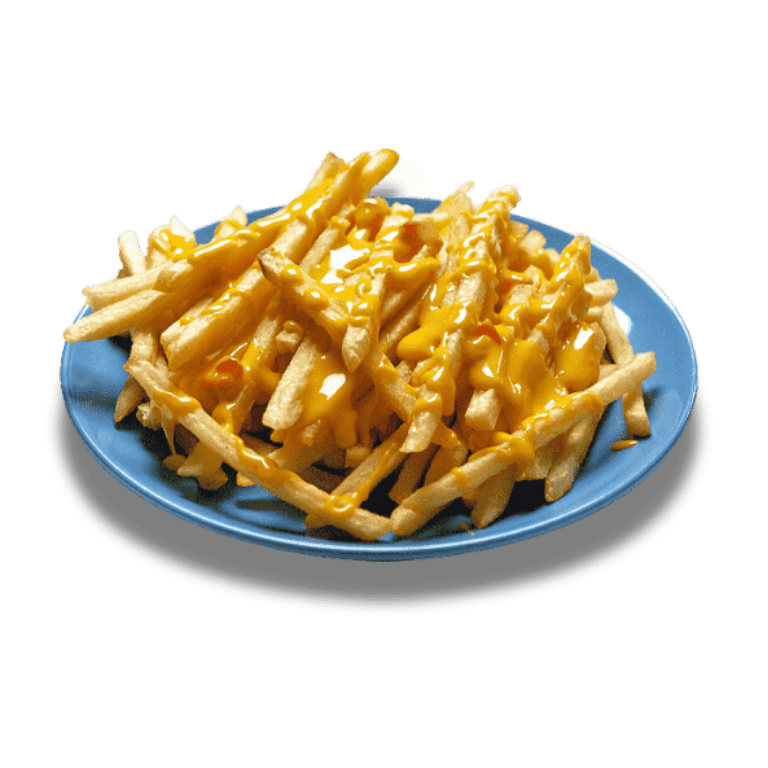 CHEESY FRIES