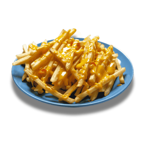 CHEESY FRIES